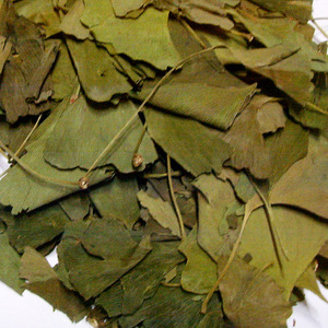 국내 야생 은행잎300g(세일상품)