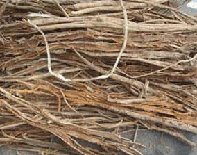 국내산 야생 유근피 느릅나무뿌리 껍질300g 직접채취 깨끗한 제품