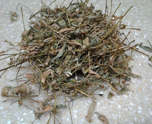 자연산 닭의장풀 (압척초,달개비)300g